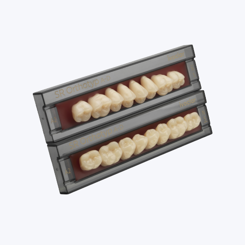 Ivoclar SR Orthotyp DCL Posterior Set of 8